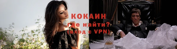 индика Балахна