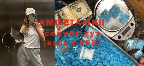 индика Балахна