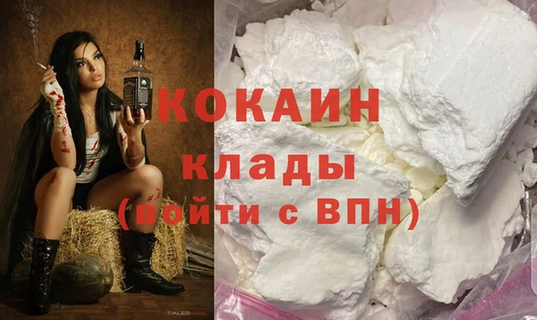 бошки Горняк