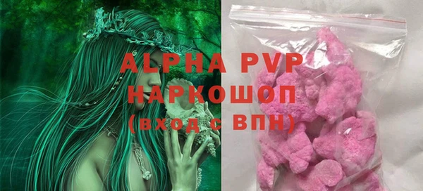 индика Балахна