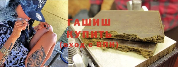 индика Балахна