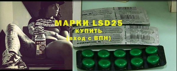 индика Балахна