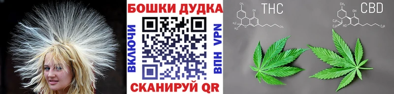 как найти   кракен вход  Канабис сатива  Макушино 